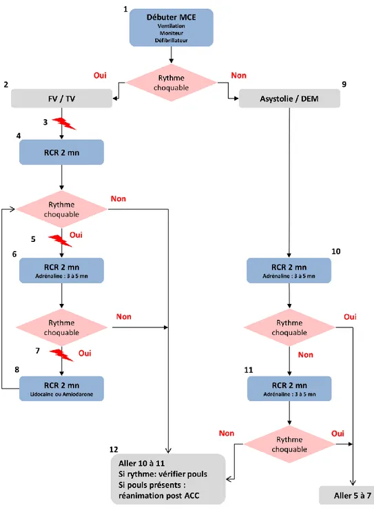 Figure 2 : algorithme de prise en charge de l’arrêt cardiaque chez l’enfant. MCE : massage  cardiaque externe, FV : fibrillation ventriculaire, TV : tachycardie ventriculaire, DEM : dissociation 