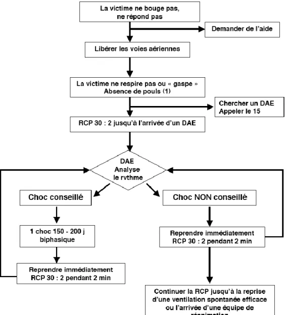 Figure 5 : Algorithme de la RCP de base.  