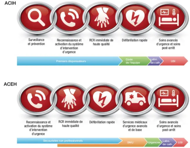 Figure 2 : La chaîne de survie version AHA, d’après [12]. ACIH : arrêt cardiaque intra-