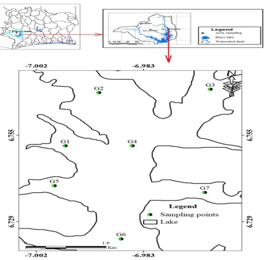 Figure 1: Map showing position of the sampling points on the Buyo Lake (Guessabo Area)  Sampling:  Phytoplankton  was  sampled  monthly  at 