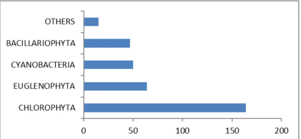 Figure 2: Proportion of phytoplankton groups in Guessabo Lake 