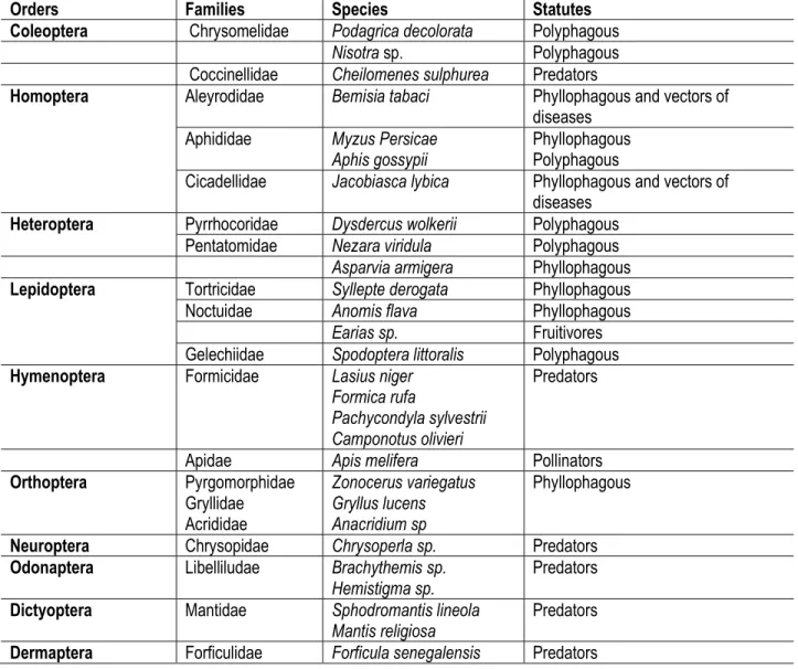 Table 2: Inventory of Insect species  