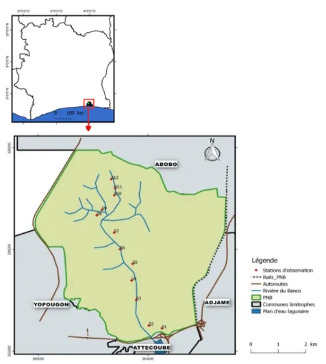 Figure 1 : Localisation de la rivière Banco et des différentes stations d’échantillonnage 