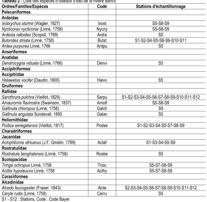 Tableau 2 : Liste des espèces d’oiseaux d’eau de la rivière Banco  