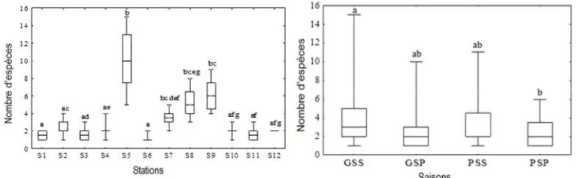 Figure 2 : Variation de la richesse spécifique des oiseaux d’eau selon les stations et selon les saisons  