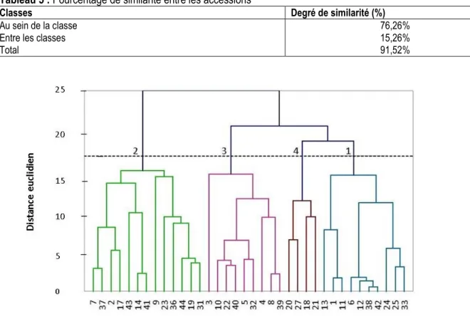 Tableau 5 : Pourcentage de similarité entre les accessions 