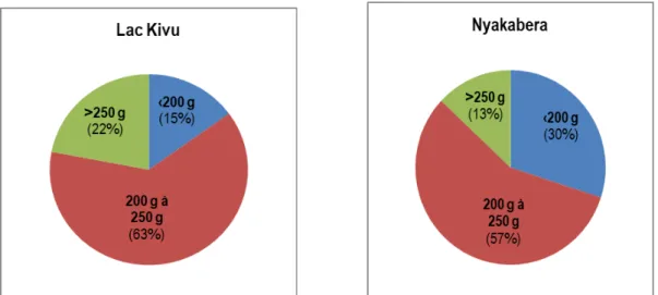 Figure 2 : Distribution des classes de poids à la récolte chez les souches Lac Kivu et Nyakabera d’Oreochromis  niloticus 