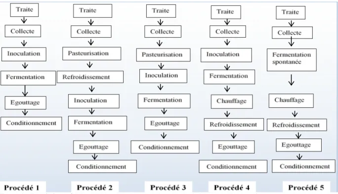 Figure 3 : Procédés de fabrication du « Mashanza » dans les territoires les milieux en étude 