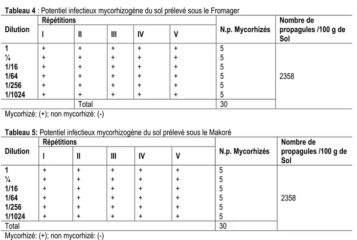 Tableau 5: Potentiel infectieux mycorhizogène du sol prélevé sous le Makoré 