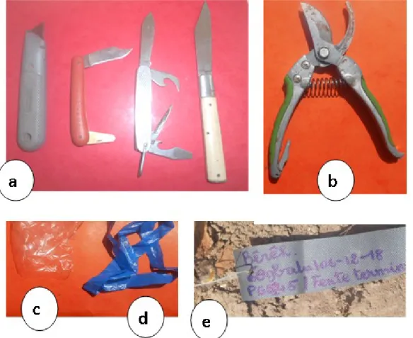 Figure 1. Quelques matériels techniques utilisés pour le greffage  