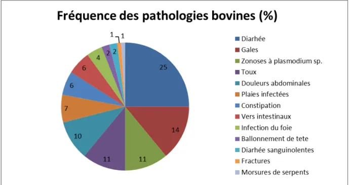 Figure 2 : pathologies les plus fréquemment rencontrées en élevage de bovins  