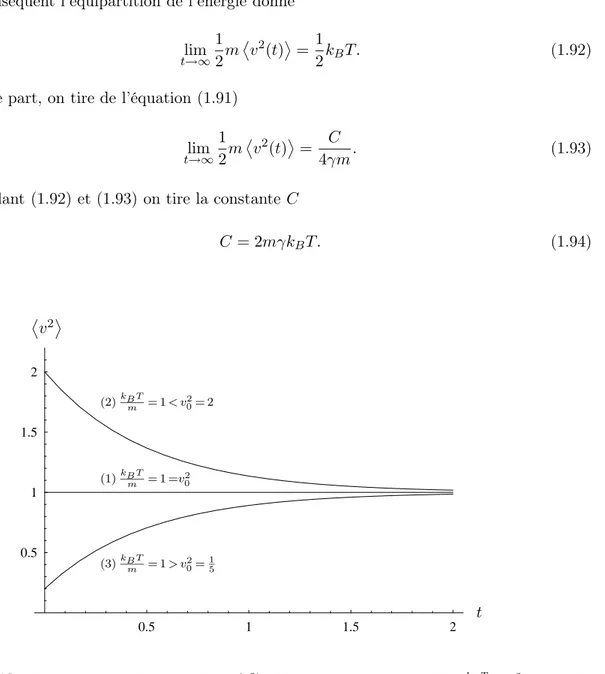 Fig. 1.10 – Représentation adimensionelle de  v 2 