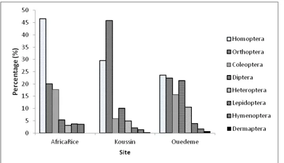 Figure 2. Insect orders distribution in the Southern and Central Benin rice basin.  Diversity  and  abundance  of  insect  orders  by  rice 