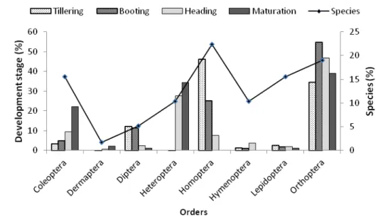 Figure 4: Diversity and abundance of insect orders according rice developmental stages in Koussin site