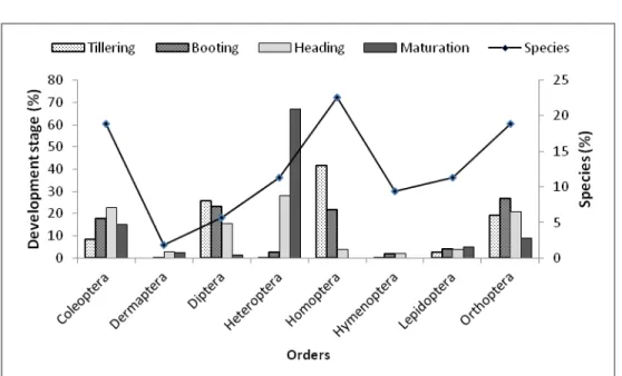 Figure 5: Diversity and abundance of insect orders according rice developmental stages in Ouedeme site