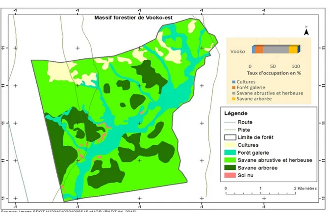 Figure 6 : Variabilité de l’occupation des terres dans le secteur sud soudanien  Déterminants  humains  de  la  dégradation  des 