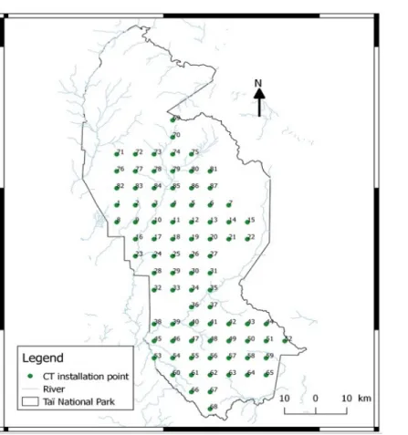 Figure 2: Trapping design for sampling elephants in Taï National Park.  CTs have been oriented to avoid having the sun in the 