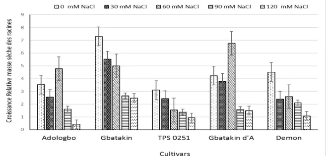 Figure  8 :  Croissance  relative  de  la masse  sèche  des  racines (CRMSR) des  plantes de  cinq cultivars  de  piment,  cultivées  pendant  deux  semaines  en  présence  de  différentes  concentrations  de  NaCl  (n=  4 ;  la  barre  verticale  correspo