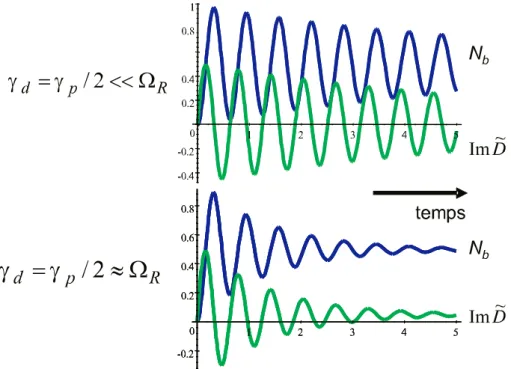 Fig. 2.2: évolution de la population N b et du dipôle atomique lorsque la relaxation