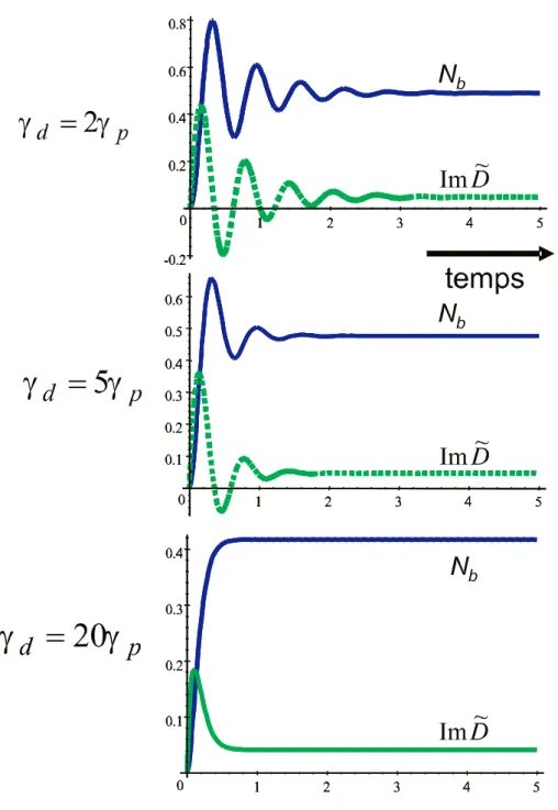 Fig. 2.3: évolution de la population N b et du dipôle atomique dans le cas où le