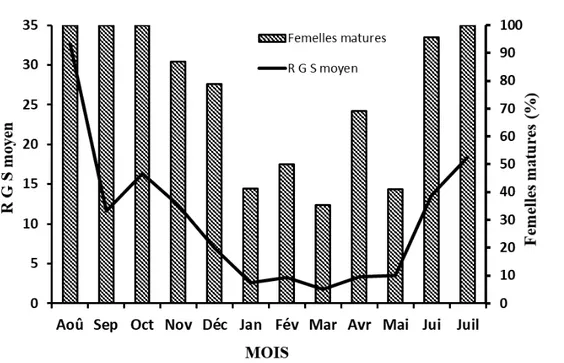 Figure 6 : Évolution comparée du rapport gonado-somatique  moyen et du pourcentage des stades avancés  de  la  maturité sexuelle des femelles de S