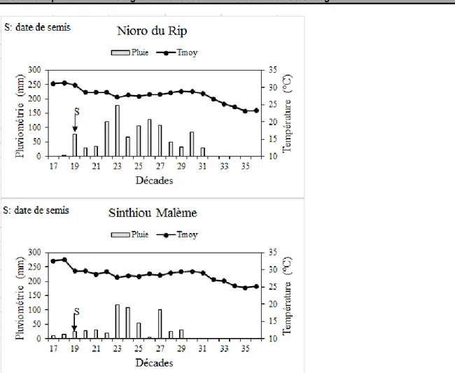Figure 1 : Pluviométrie et température moyenne durant les expérimentations à Nioro du Rip et à Sinthiou Malème