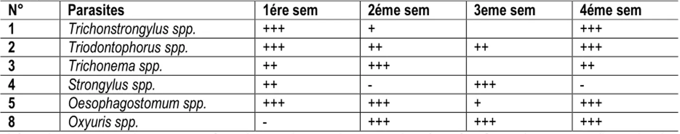 Tableau 1: Helminthes gastro-intestinaux chez les Zèbres de montagne à Muyombo Park (technique de flottaison de  Willis) 