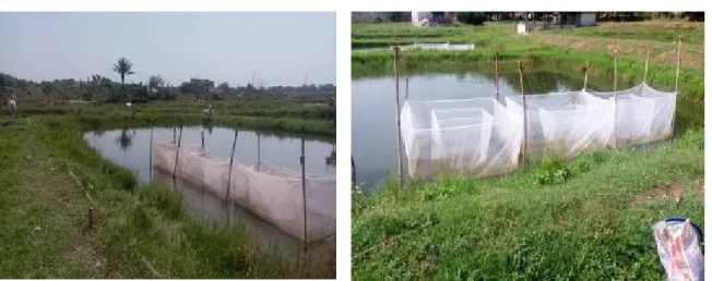 Figure 2 : Images du dispositif expérimental sur la ferme PPP sarl  Paramètres calculés  