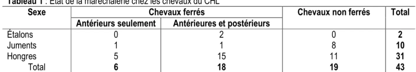 Tableau 1 : État de la maréchalerie chez les chevaux du CHL 
