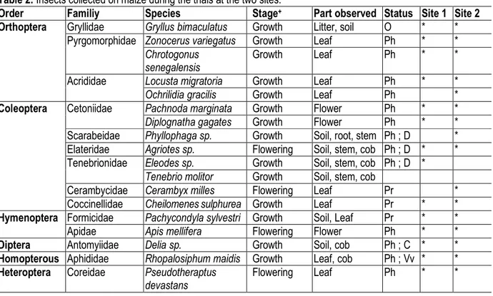 Table 2: Insects collected on maize during the trials at the two sites.  