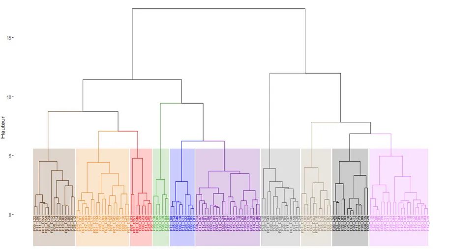Figure 3. Dendrogramme résultant de la CAH relative aux 139 clones présélectionnés répartis en 10 groupes distincts