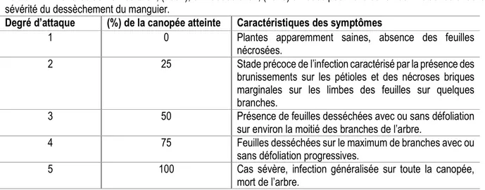 Tableau 1 : Échelles de Ramos et al., (1997); et Masood et al., (2010) utilisées pour l’evaluation de l’incidence et de la  sévérité du dessèchement du manguier
