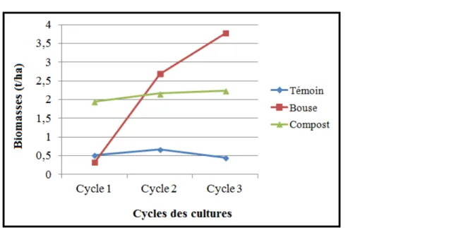 Figure 2 : Évolution des biomasses produites en fonction des traitements et du temps.  DISCUSSION 