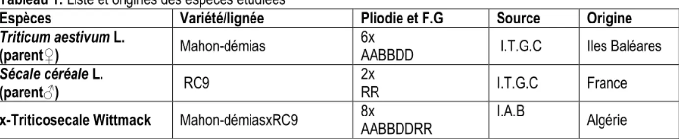 Tableau 1: Liste et origines des espèces étudiées 