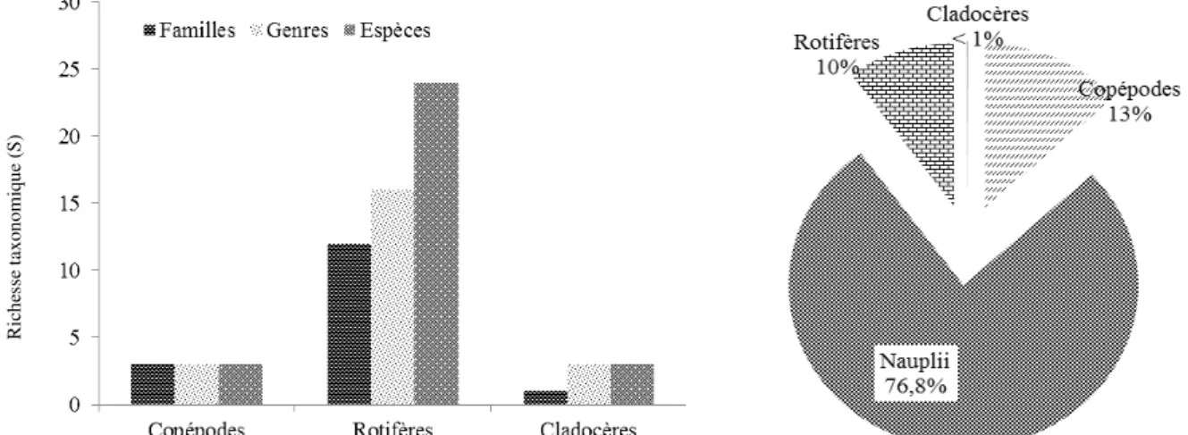Figure 2 : Richesse taxinomique des organismes zooplanctoniques (à gauche) et Densités des organismes (à droite)  durant l’étude