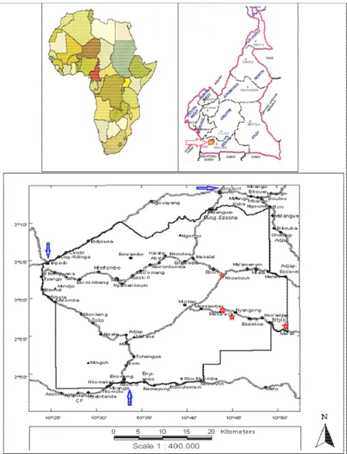 Fig. 1: Map of the Bipindi–Lolodorf-Akom II region (South Cameroon) showing study villages (    ) 