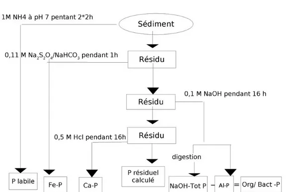 Figure 5 : Schéma d'extraction séquentielle du phosphore d'après Rydin et Welch (1998)  RÉSULTATS ET DISCUSSIONS 