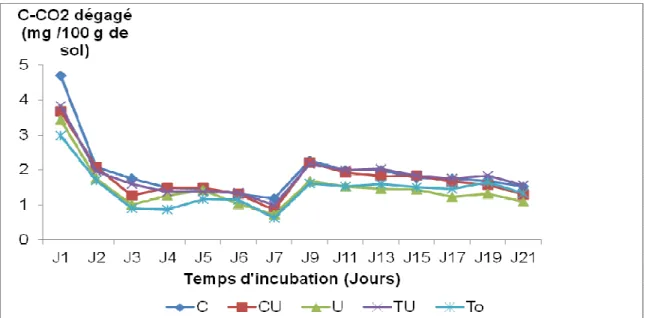 Figure 2  : Variation de quantité de C-CO 2  dégagé en fonction du temps dans les parcelles sans macrofaune du sol 