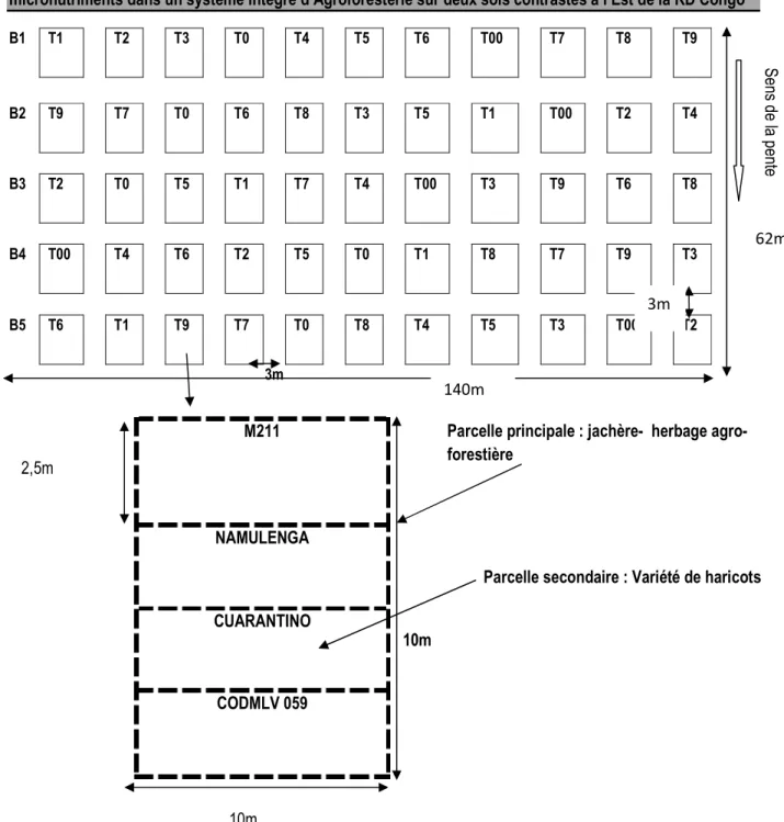 Figure 1 : Schémas du dispositif expérimental 