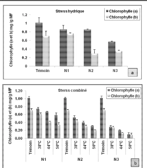 Figure 1 : Variations des teneurs en chlorophylle (a et b) des aiguilles de pin pignon soumis à différents niveaux de  stress hydrique et thermique 