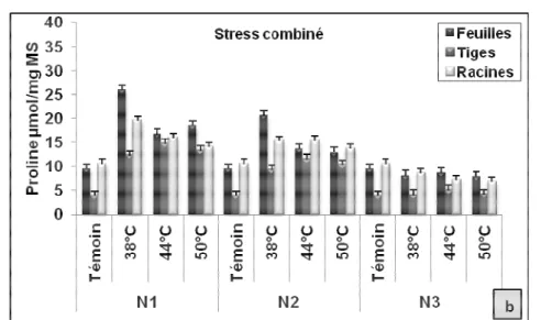 Figure  2 :  Variations  de  la  teneur  en  proline  au  niveau  de  différents  organes  de  semis  du  pin  pignon  soumis  à  différents niveaux de stress hydrique et thermique 