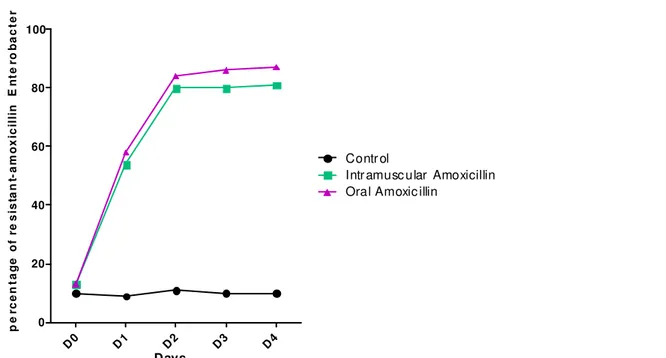 Figure 1: Percentage of amoxicillin-resistant Enterobacteriaceae for each mode of amoxicillin administration   Associated amoxicillin resistance: Table 1 shows the 