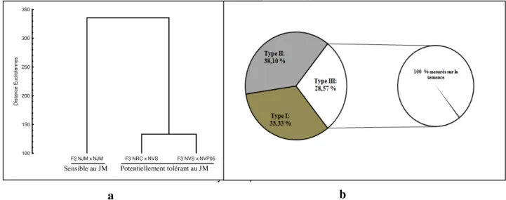 Figure 4 : Mise en évidence des différences entre les trois hybrides d’autofécondation Nain x Nain de cocotier étudiés