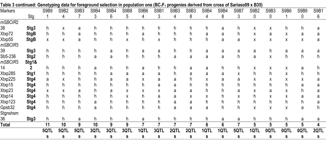 Table 3 continued: Genotyping data for foreground selection in population one (BC 1 F 1  progenies derived from cross of Sariaso09 x B35)  Markers  Stg  S9B91  S9B24  S9B37  S9B43  S9B46  S9B85  S9B64  S9B13  S9B34  S9B38  S9B44  S9B48  S9B73  S9B20  S9B30
