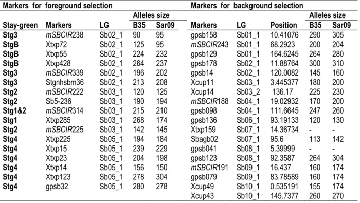 Table 1: SSR markers (for foreground and background selection) retained after polymorphism assessment within B35  and Sarisao09  