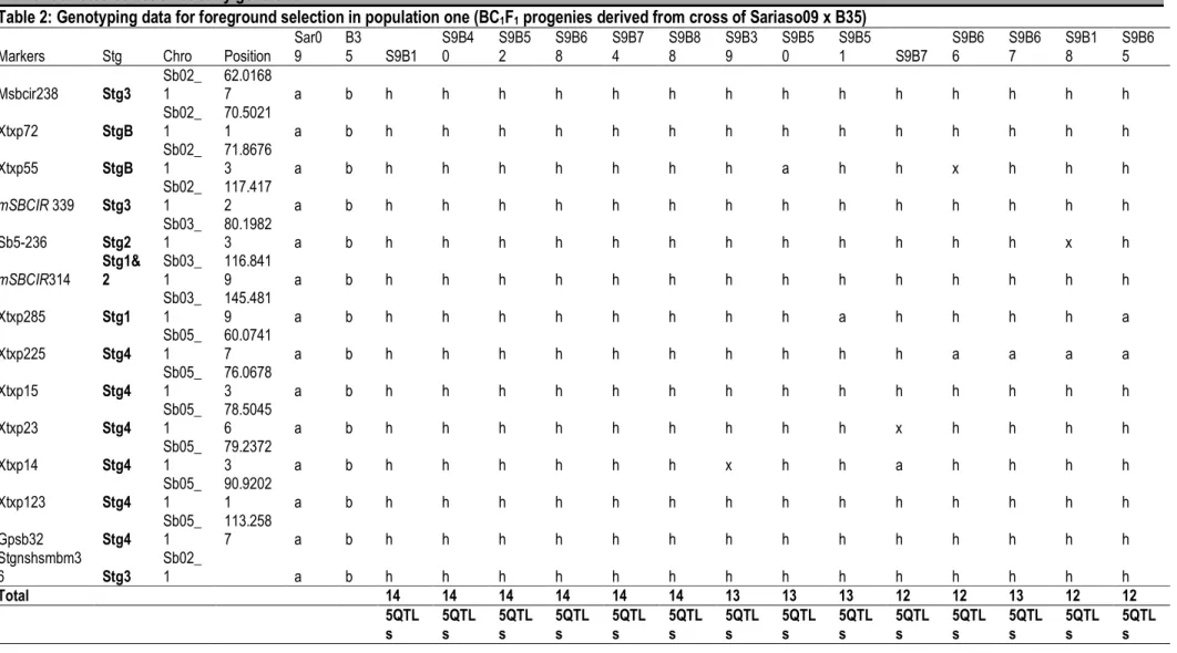 Table 2: Genotyping data for foreground selection in population one (BC 1 F 1  progenies derived from cross of Sariaso09 x B35) 
