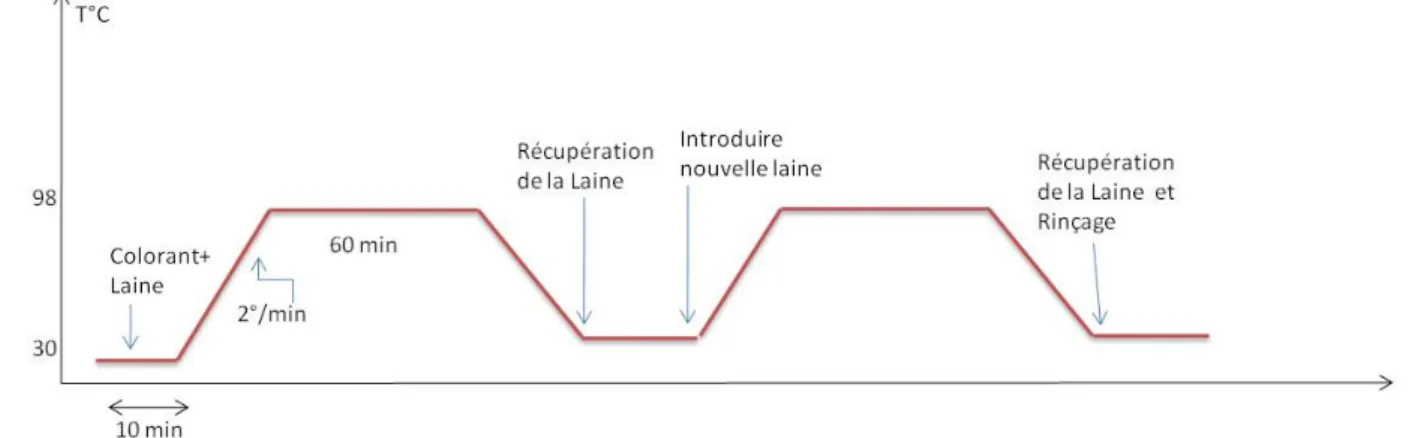 Figure 3 : Procédé de teinture avec recyclage.  RÉSULTATS ET DISCUSSION 