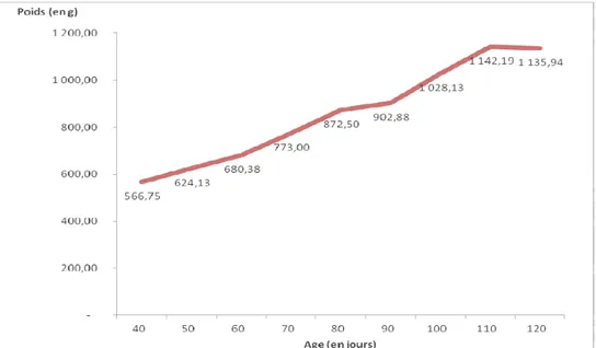 Figure 4 : Croissance pondérale des aulacodes recevant le fourrage de Hyparrhenia diplandra