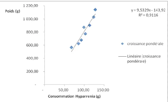 Figure 6 : Corrélation entre la consommation de fourrages de Hyparrhenia diplandra et la croissance pondérale