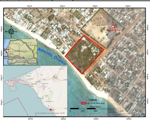 Figure 2 : Situation géographique de la commune de Mbour et du C.A.D.I. (source : Google earth, 2016)  Étude  la  flore :  Cette  étude  a  été  réalisée  dans  le 